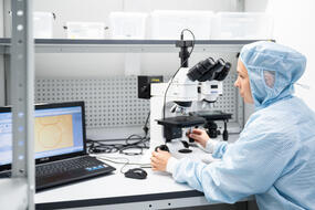 Сотрудник за работой